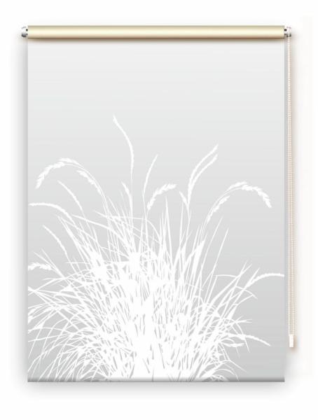 Rollo Reed24 lichtgrau dark - Sichtschutz Extartiqe